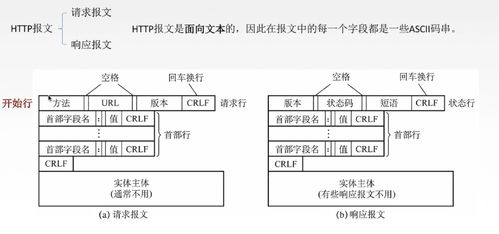 計(jì)算機(jī)網(wǎng)絡(luò)基礎(chǔ)知識之應(yīng)用層 網(wǎng)絡(luò)開發(fā)與服務(wù)的基石